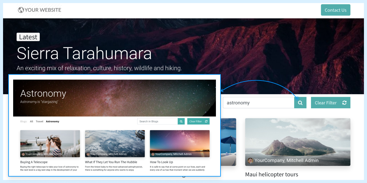 Odoo Website Blog Search