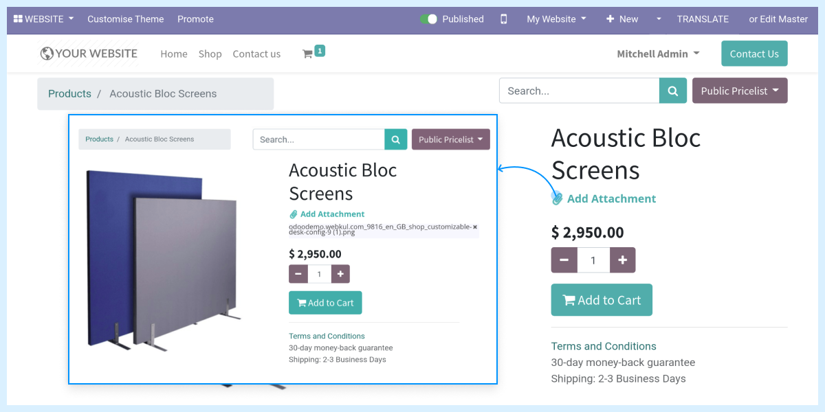 Odoo Website Product Files Upload
